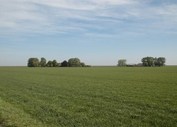 Normal_akker__boerderij__platteland__oogst